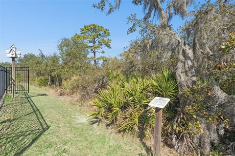 Tiny photo for 17422 Blazing Star Circle, Clermont, FL 34714 (MLS # G5109037)