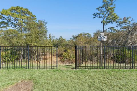 Tiny photo for 17422 Blazing Star Circle, Clermont, FL 34714 (MLS # G5109037)