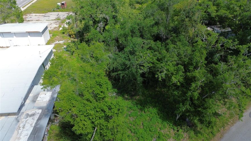 Great building lot located near Hwy 17.  Close to a half acre to work with.  Punta Gorda is only 20 minutes to the south and Arcadia is 5 minutes to the north.  Close to schools, shopping and medical.  Come build your dream home, or buy and hold.