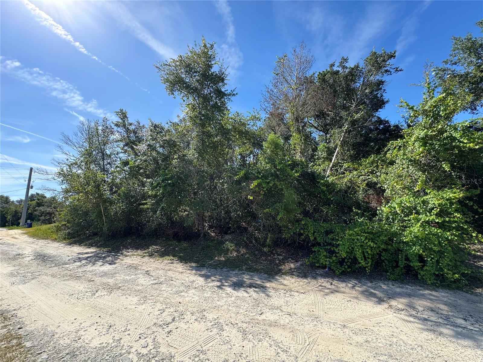 Here is your opportunity to build a home on just over a quarter acre in Deland.