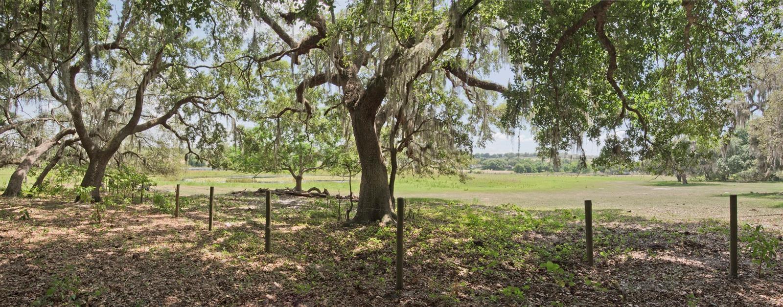 LAKE HIGHLANDS 16-22-26 - Land