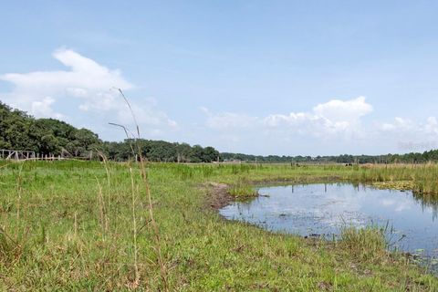 Tiny photo for 14704 Old Highway 50, Clermont, FL 34711 (MLS # G5056937)