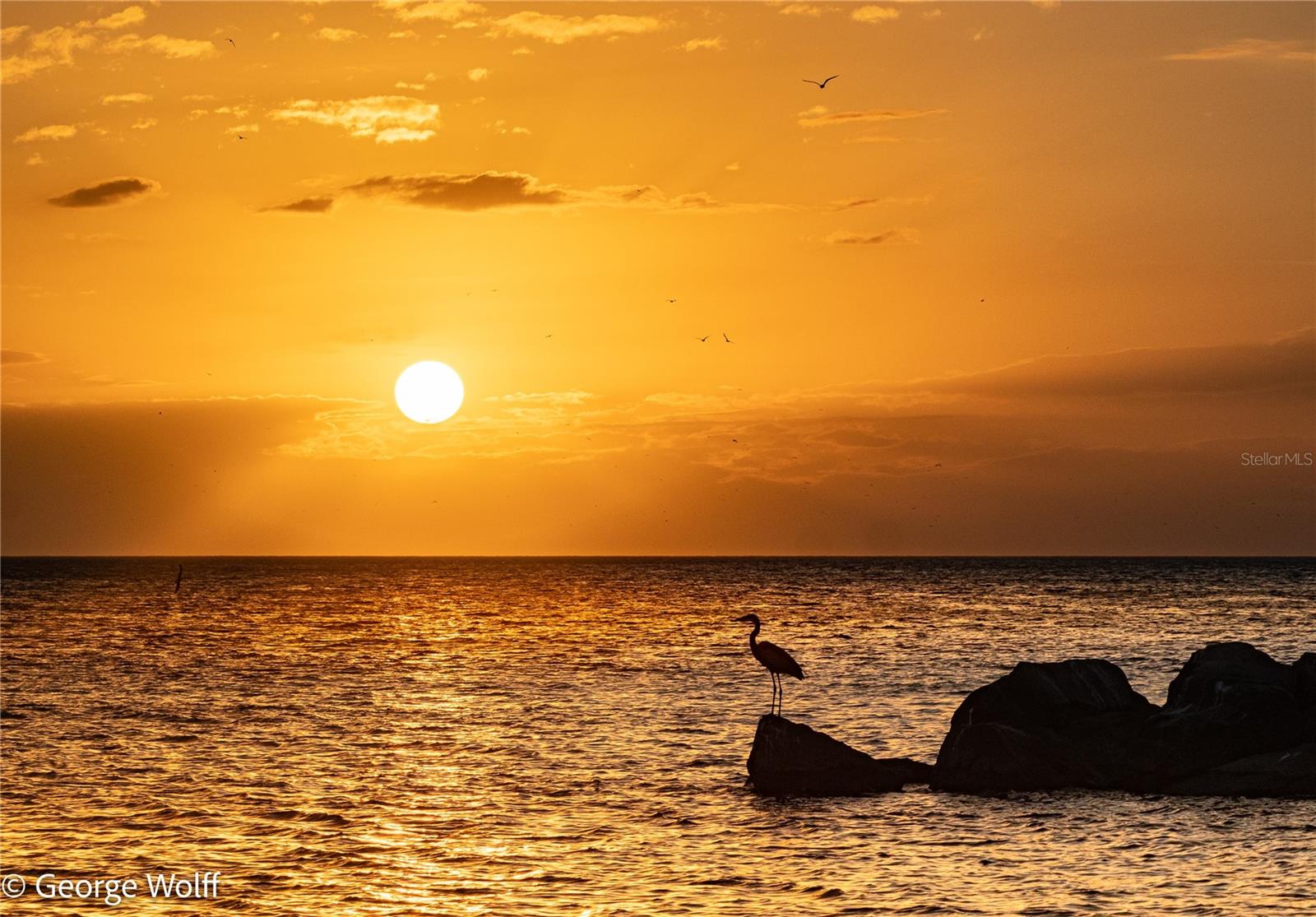 STARLIGHT TOWER INC CO-OP - Residential Lease