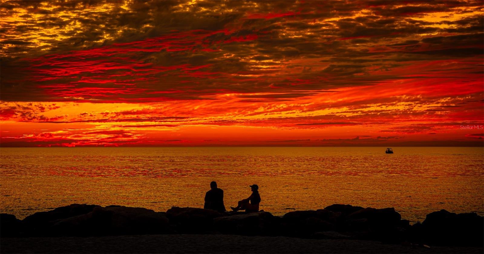 STARLIGHT TOWER INC CO-OP - Residential Lease