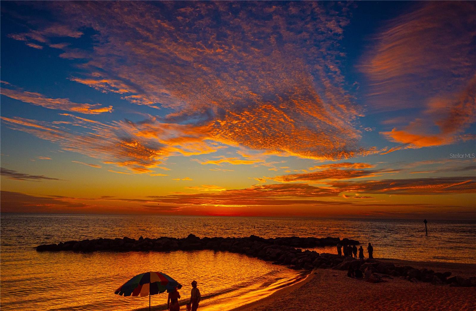 STARLIGHT TOWER INC CO-OP - Residential Lease