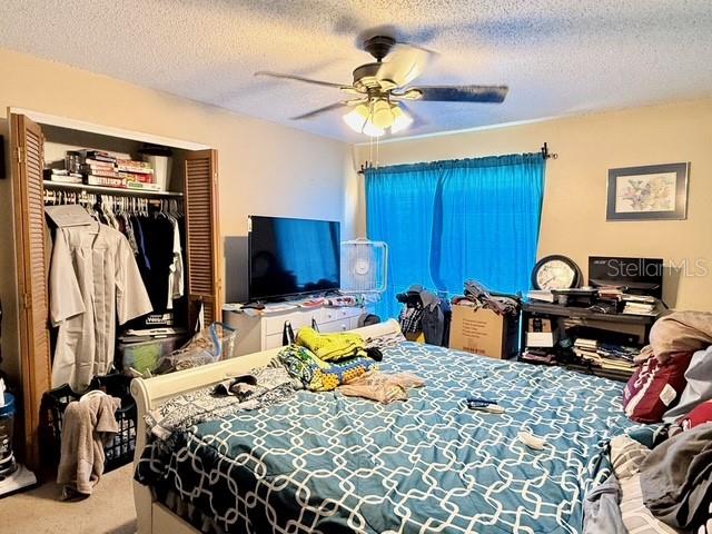 WILDMERE - Residential