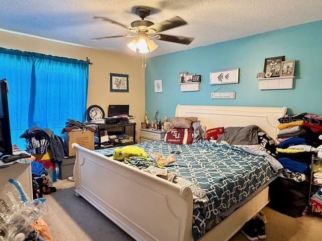 WILDMERE - Residential