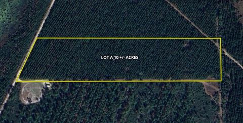 OFF LOUISE RD. GAINESVILLE FL 32609