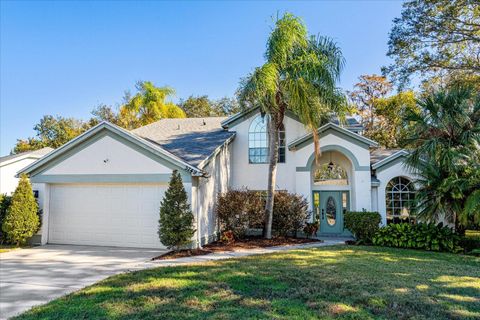 A home in ORLANDO