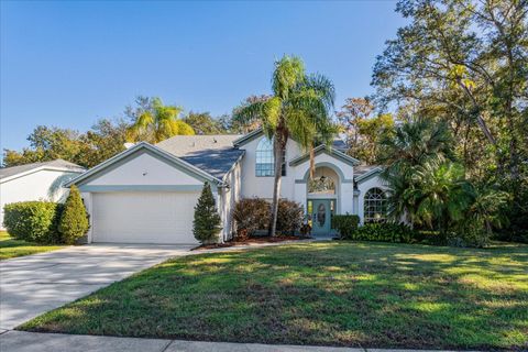 A home in ORLANDO