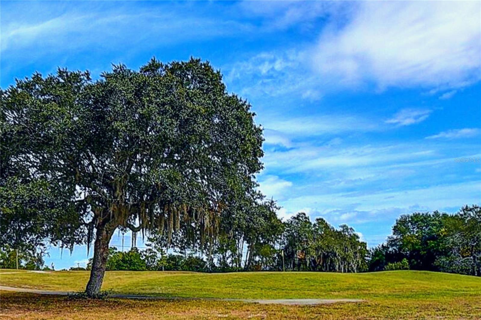 SPRING HILL UNIT 23 - Residential