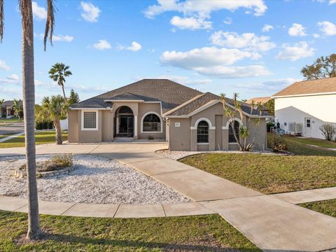 A home in APOLLO BEACH