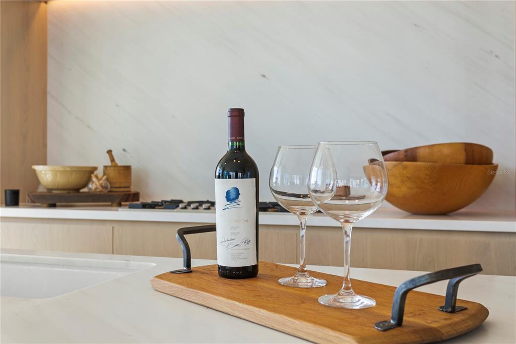 WATER STREET TAMPA SUB SUB - Residential