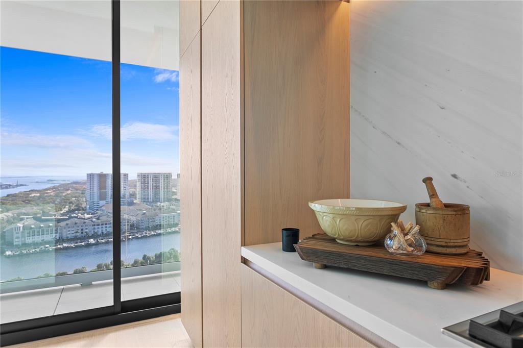 WATER STREET TAMPA SUB SUB - Residential