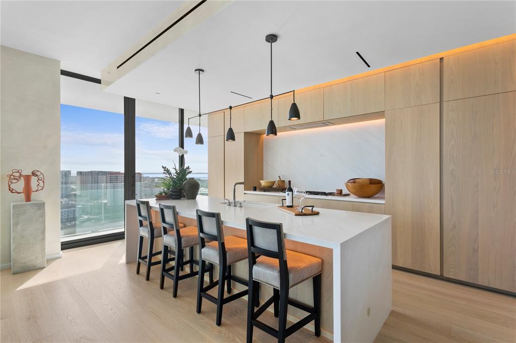 WATER STREET TAMPA SUB SUB - Residential