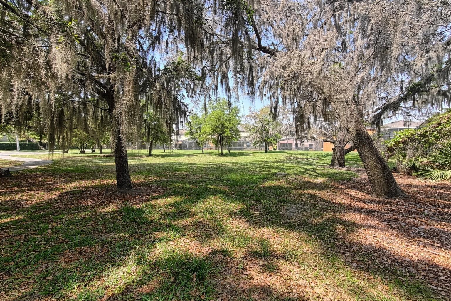 VERANDA PALMS PH 1C - Residential