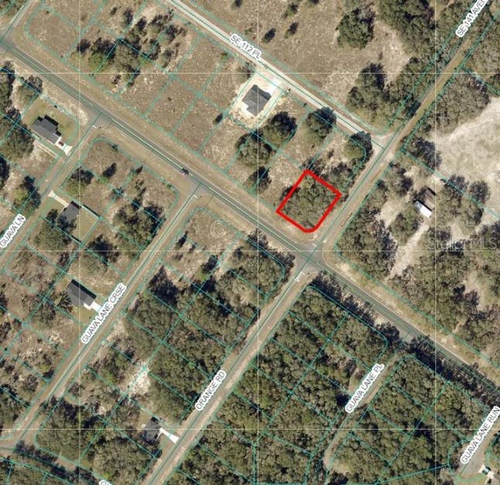 Photo of SE 113 St Rd, Ocklawaha, FL 32179 (MLS # OM705813)