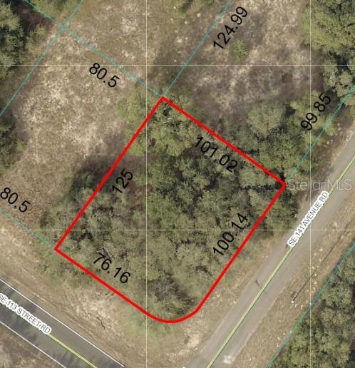 Discover your dream homesite in the heart of Ocklawaha—just minutes from Lake Weir, Silver Springs, and the Ocklawaha River. This large corner lot offers access to incredible outdoor recreation, from hiking and horseback riding in the Ocala National Forest to boating and water sports near nearby Moss Bluff's public boat ramp. Enjoy close proximity to local favorites like Gator Joe’s and The Dam Diner, perfect after a day of adventure. Only 10 minutes to everyday essentials and 25 minutes to Ocala or The Villages, convenience is never far. Whether you're building a primary residence or weekend getaway, this location is your gateway to the Florida lifestyle.