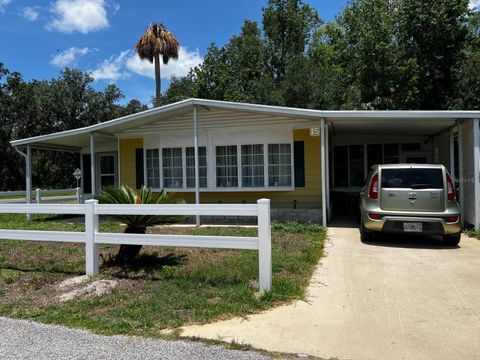 15 WILDERNESS DRIVE LAKE PANASOFFKEE FL 33538