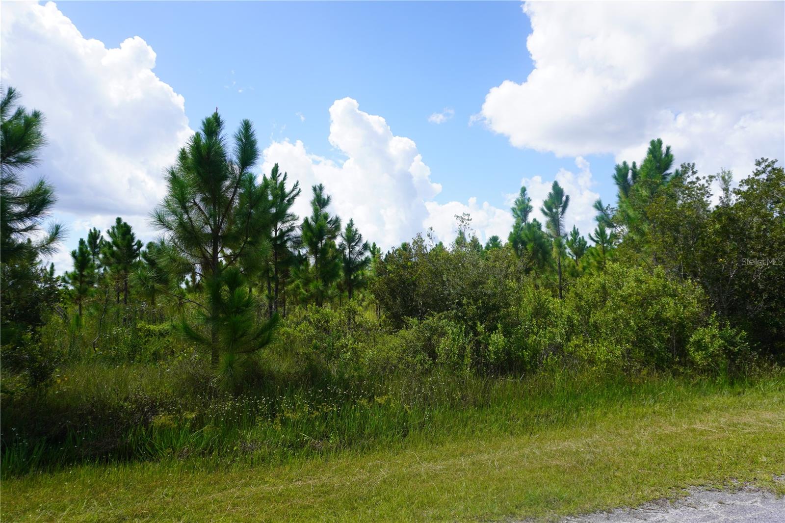 INDIAN LAKE ESTATES - Land