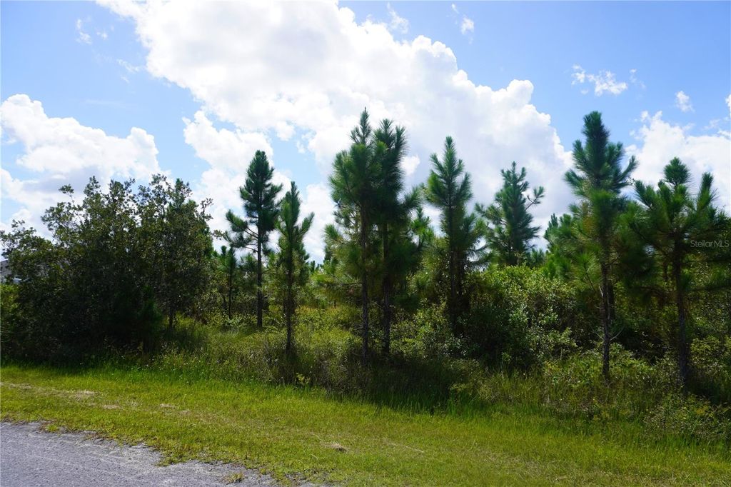 Photo of 221 Tropicana Drive, Indian Lake Estates, FL 33855 (MLS # P4936367)