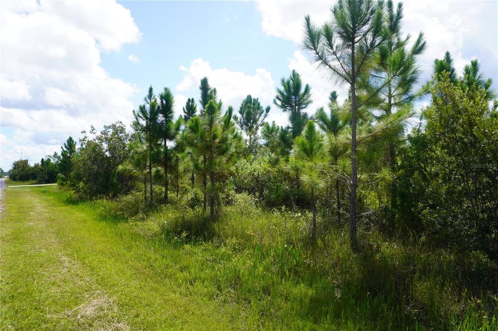 Photo of 221 Tropicana Drive, Indian Lake Estates, FL 33855 (MLS # P4936367)