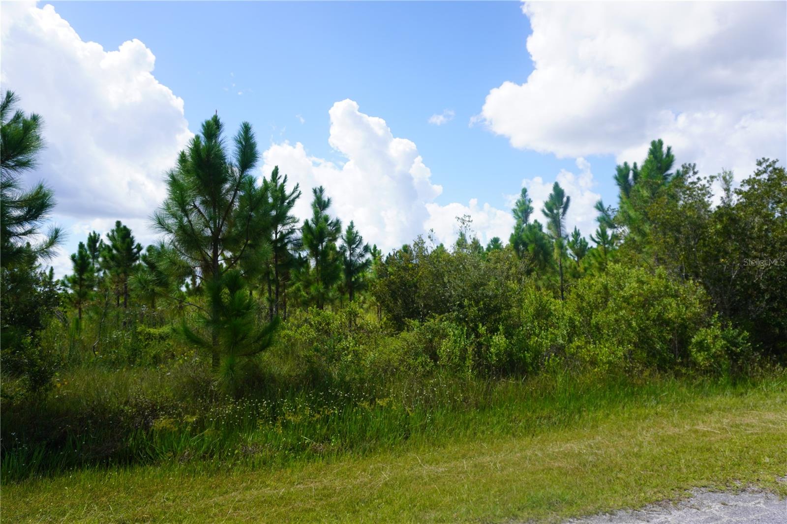 INDIAN LAKE ESTATES - Land