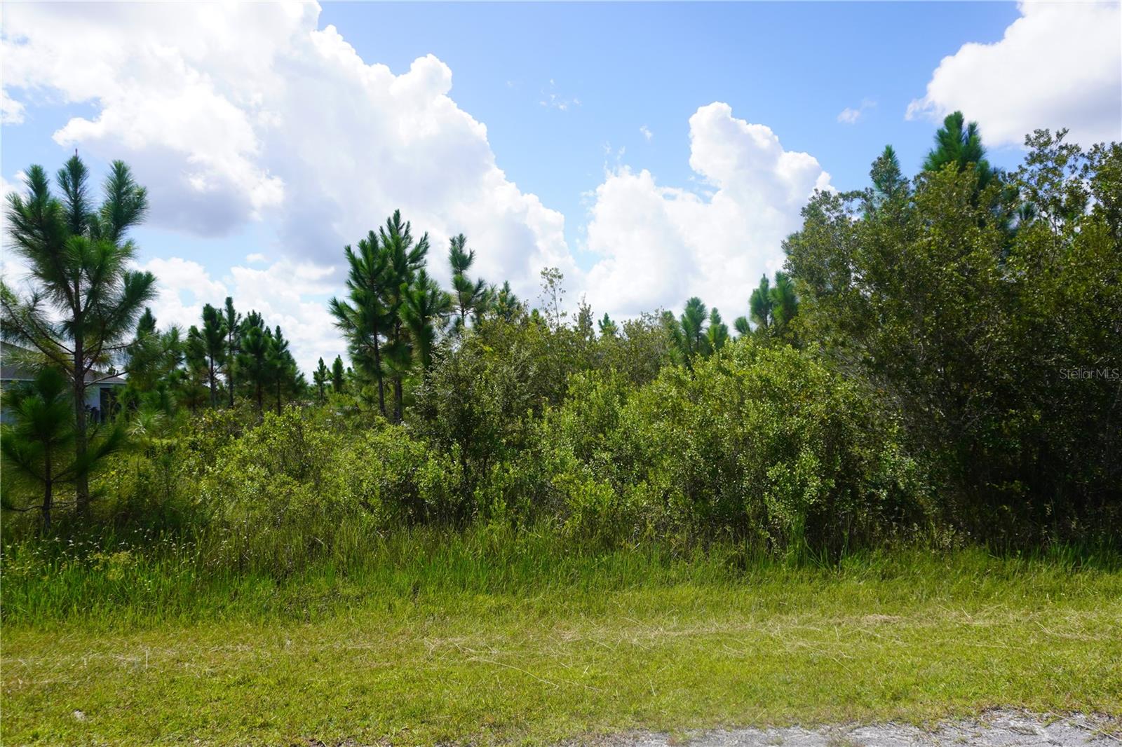 INDIAN LAKE ESTATES - Land