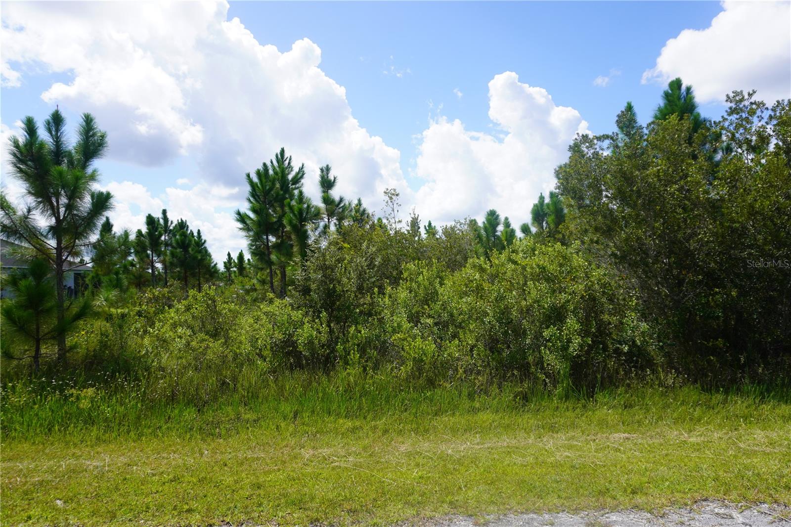 INDIAN LAKE ESTATES - Land