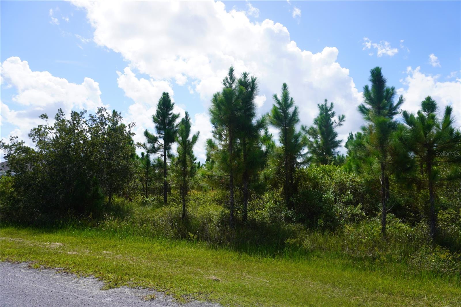 INDIAN LAKE ESTATES - Land