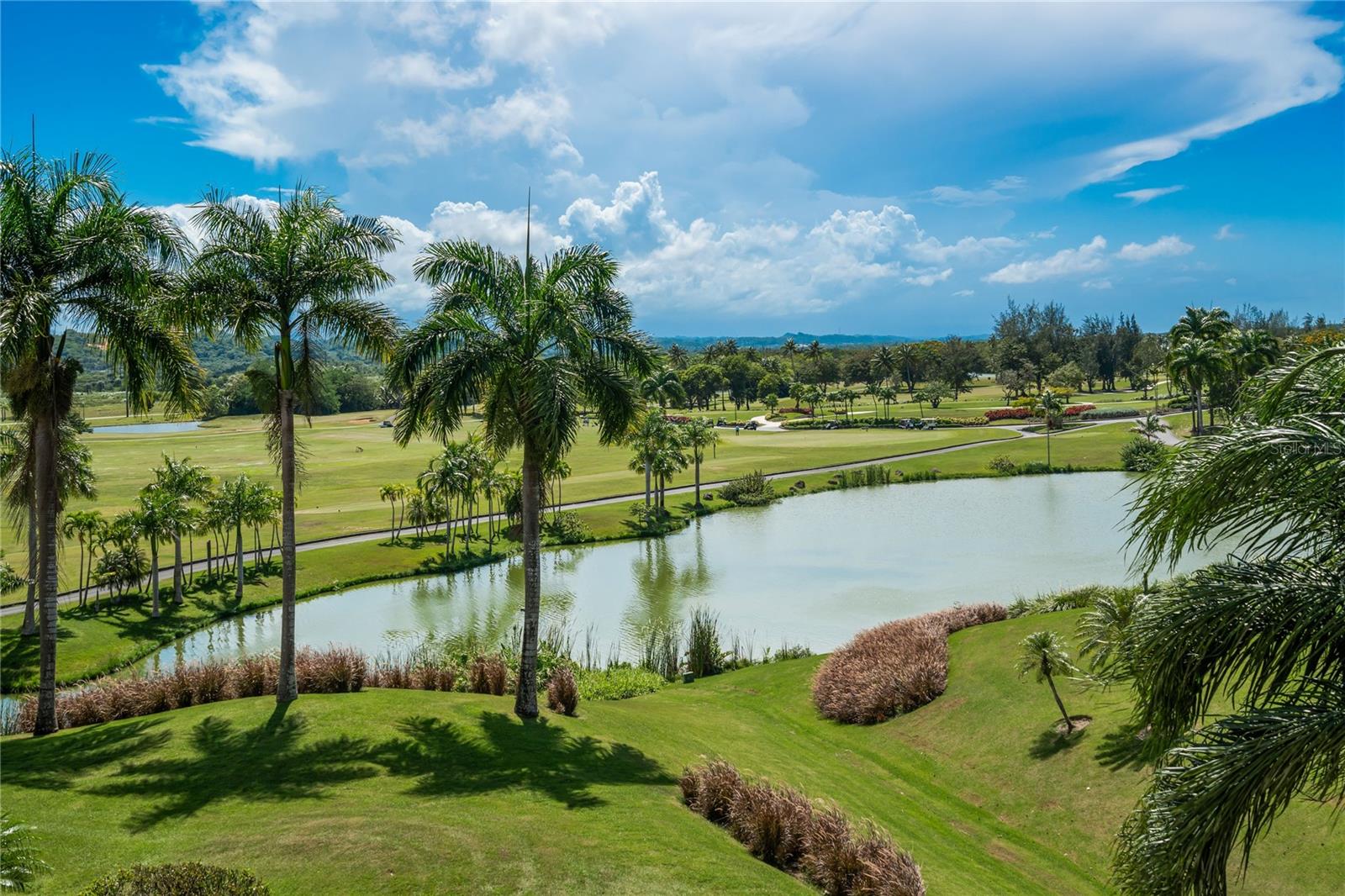 PLANTATION VILLAGE II AT DORADO BEACH - Residential