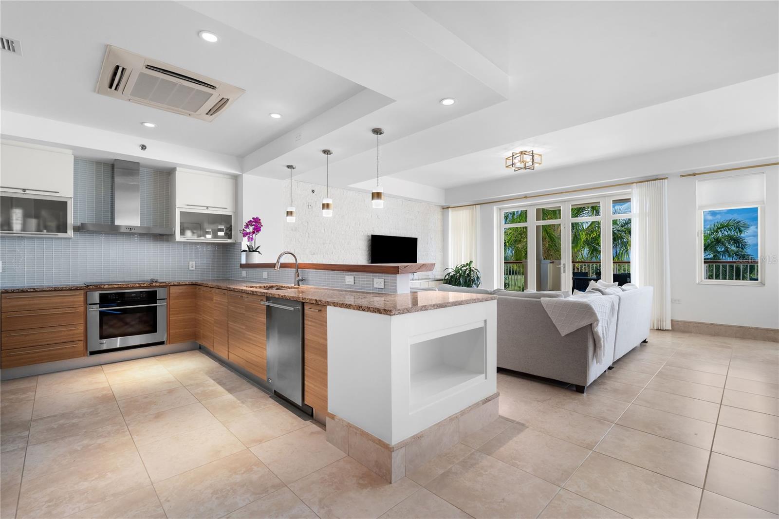 PLANTATION VILLAGE II AT DORADO BEACH - Residential