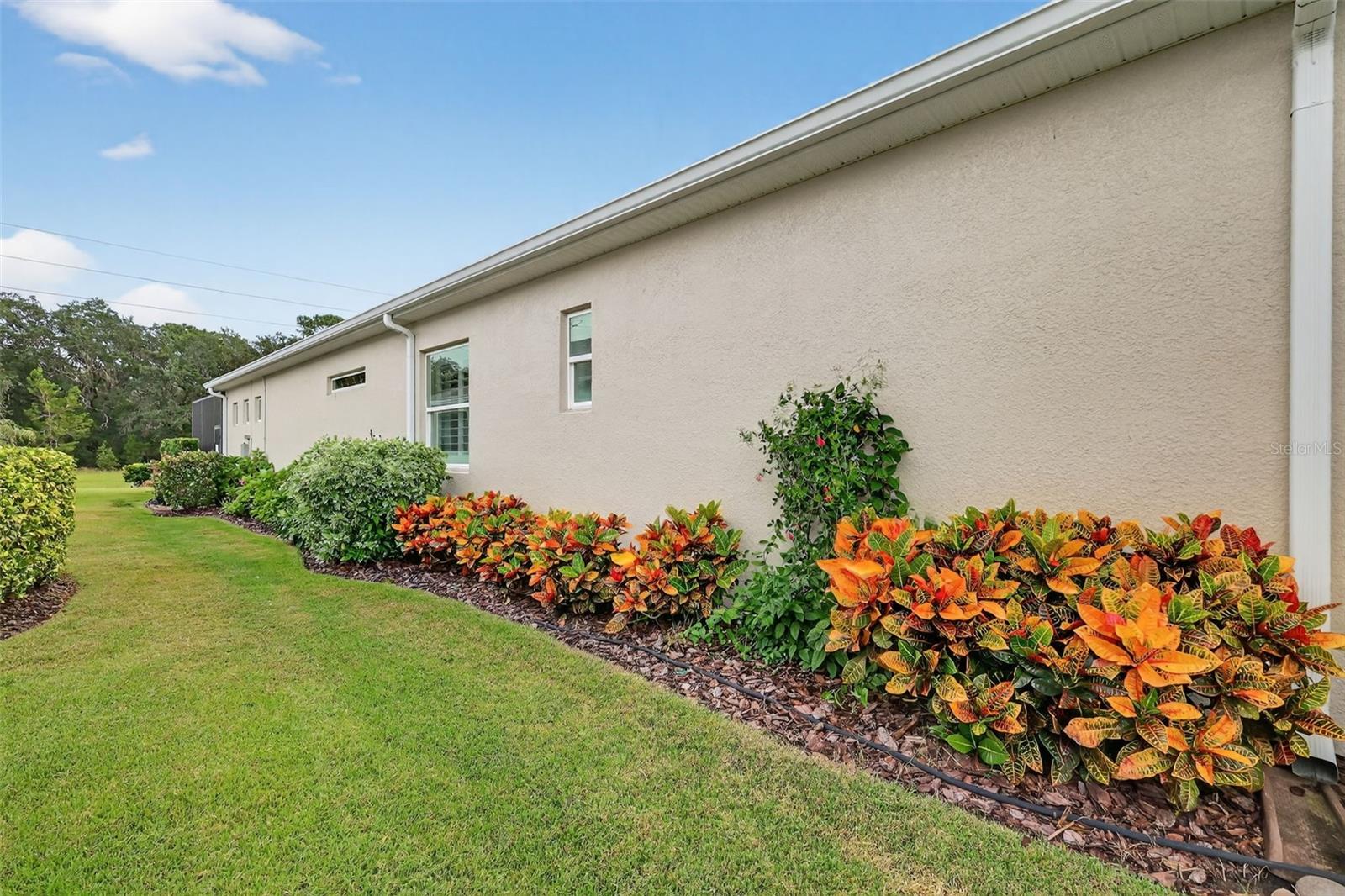 LAKES OF MOUNT DORA - Residential