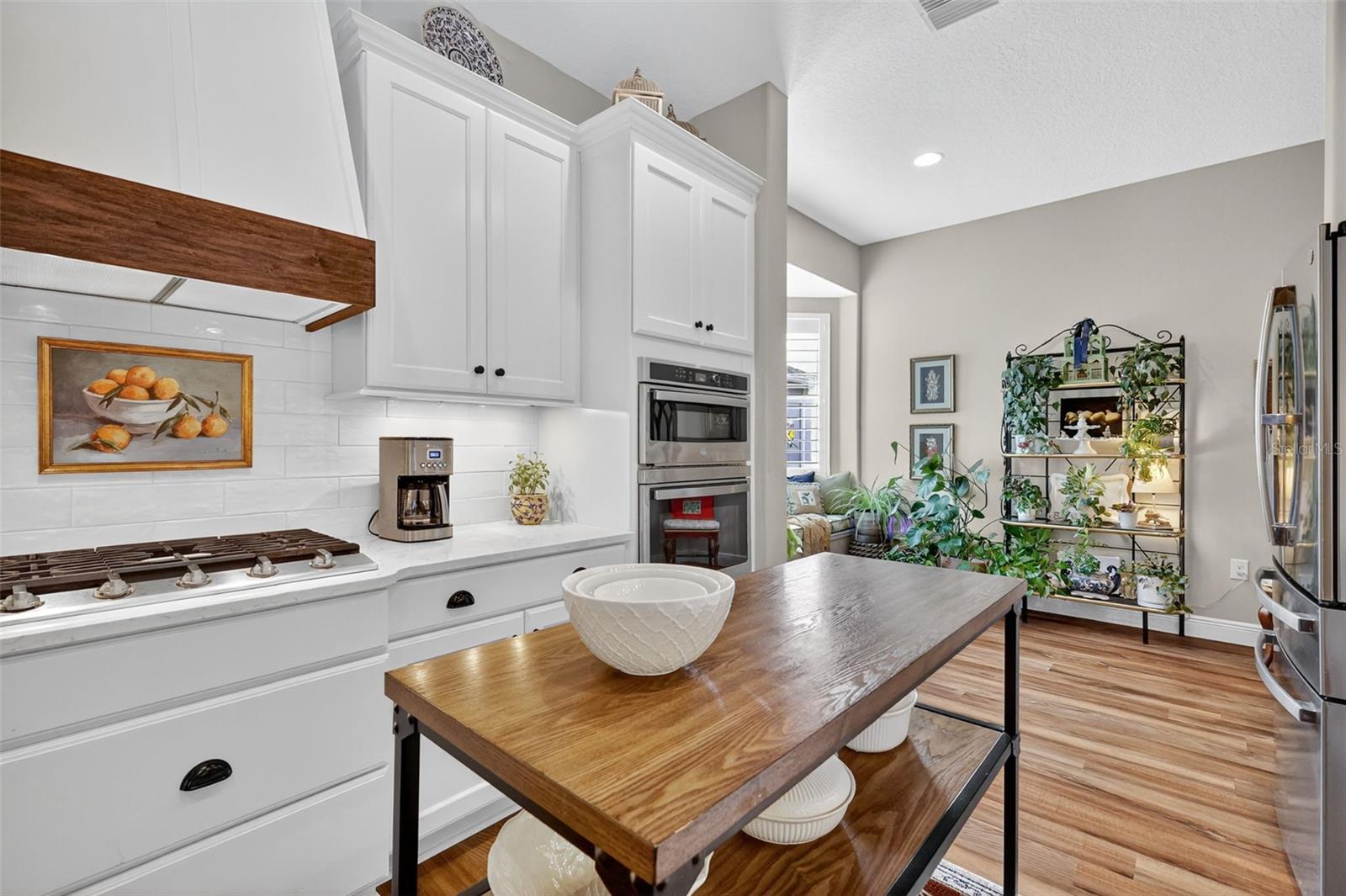 LAKES OF MOUNT DORA - Residential