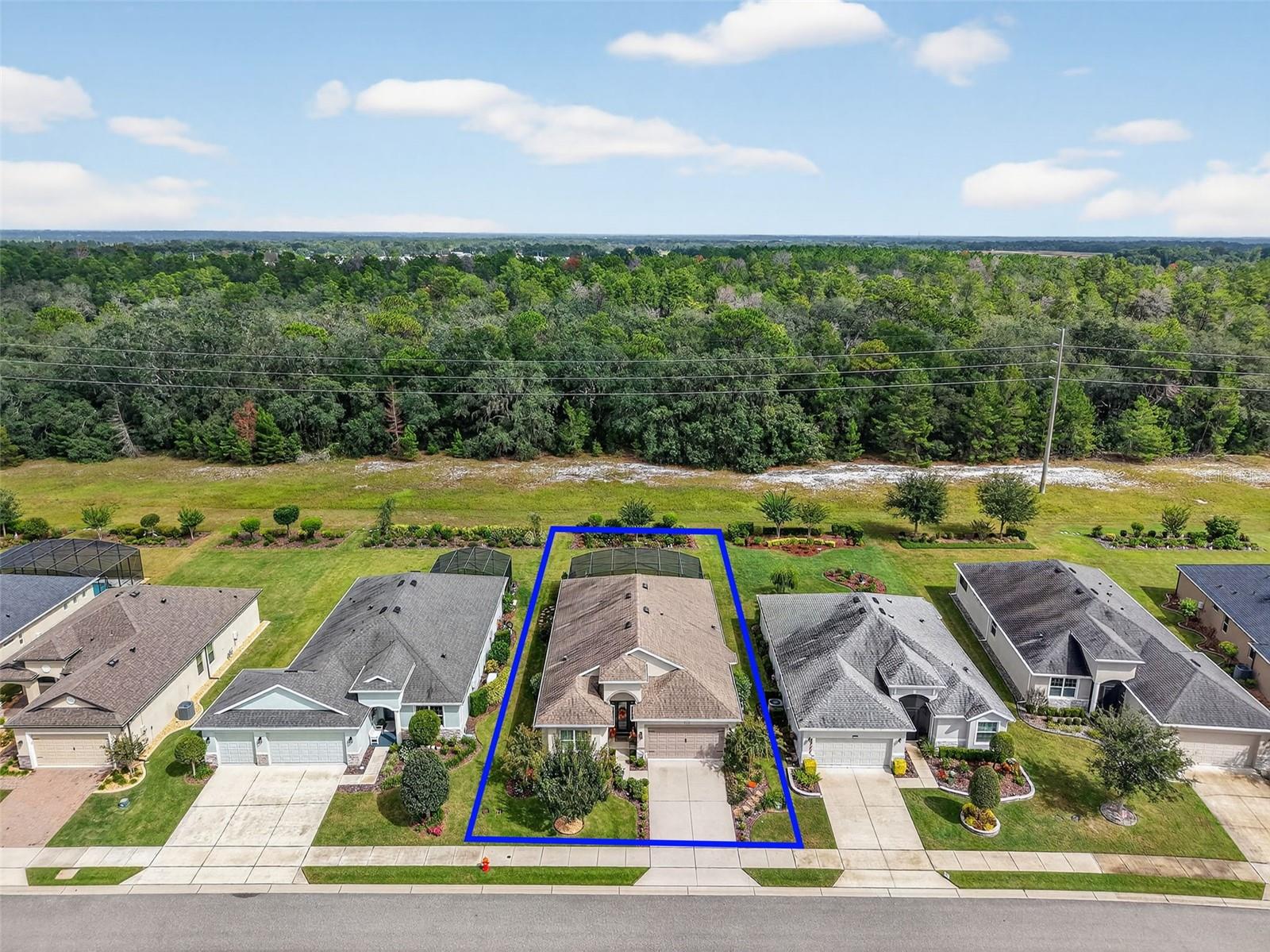 LAKES OF MOUNT DORA - Residential