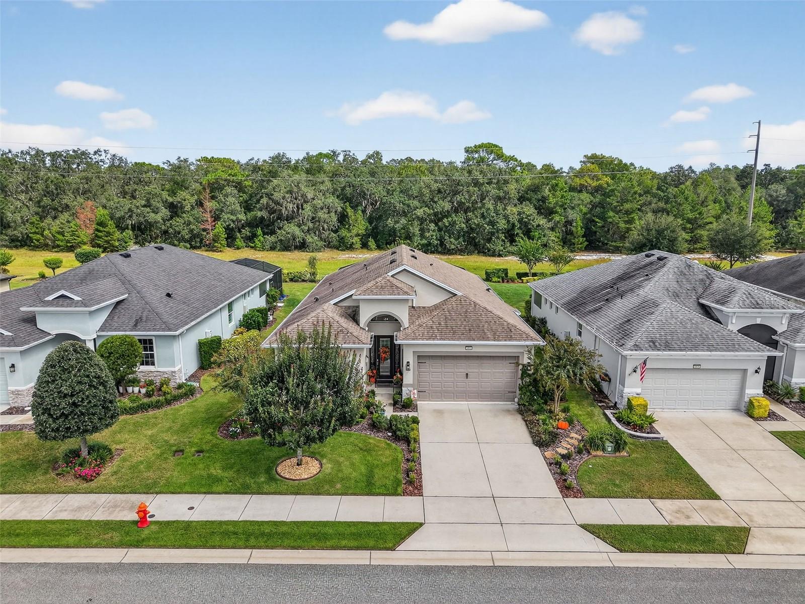 LAKES OF MOUNT DORA - Residential