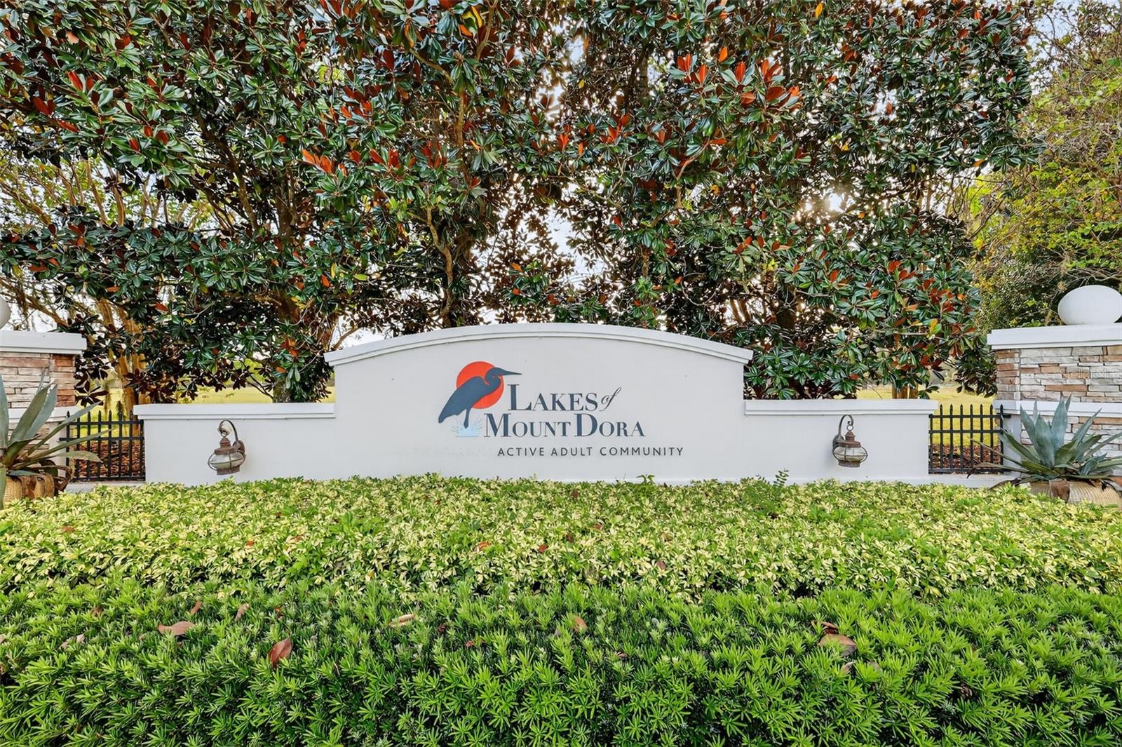 LAKES OF MOUNT DORA - Residential