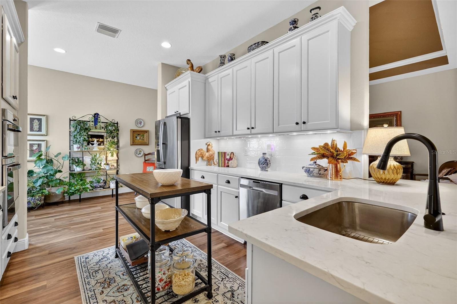 LAKES OF MOUNT DORA - Residential