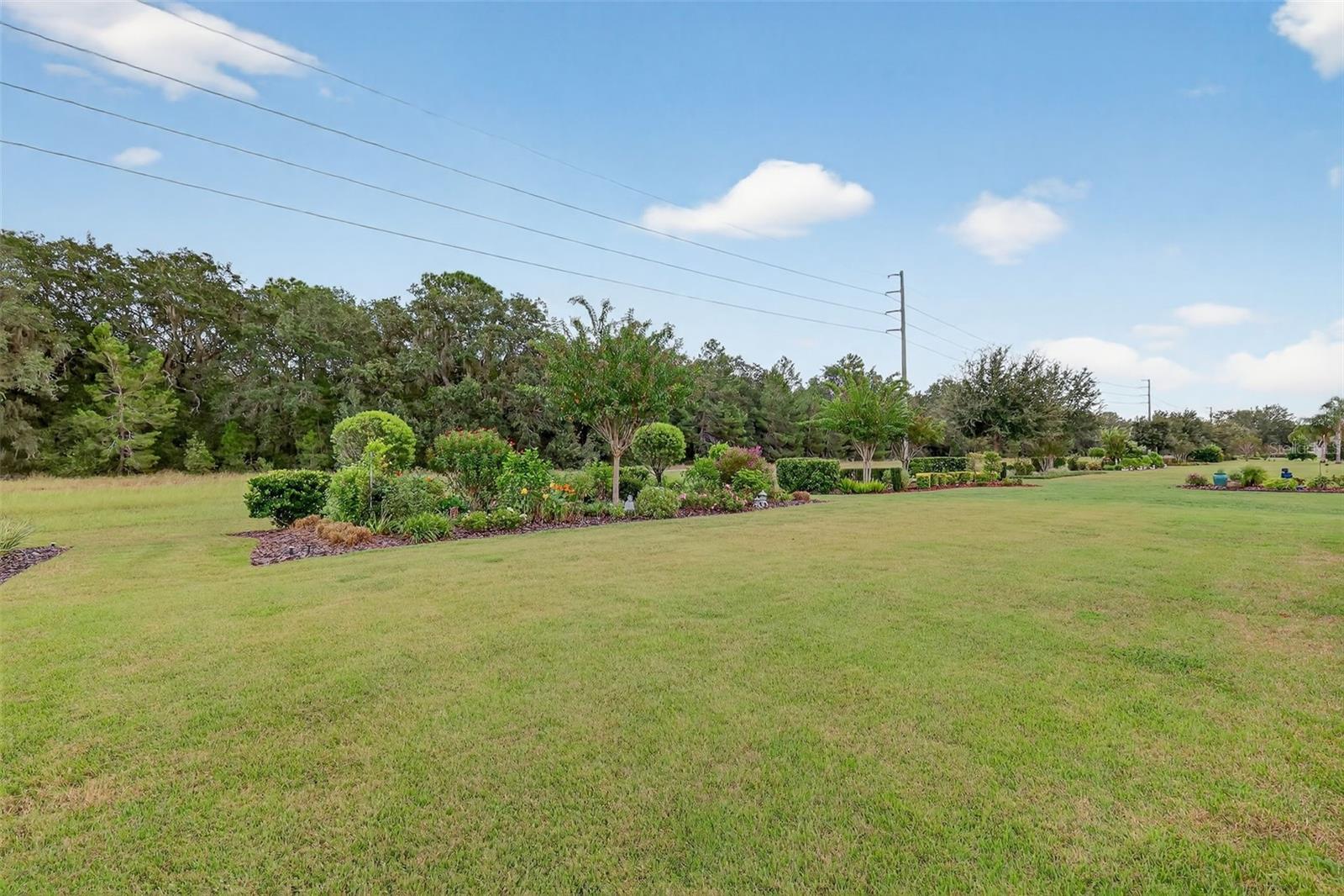 LAKES OF MOUNT DORA - Residential