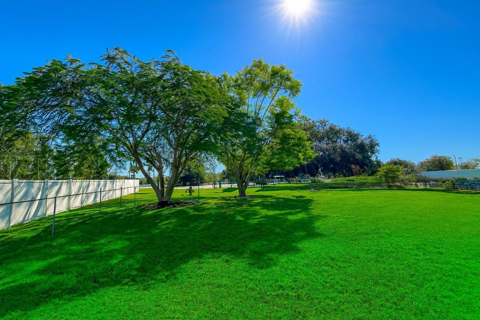 12255 FLORIDA WOODS LANE