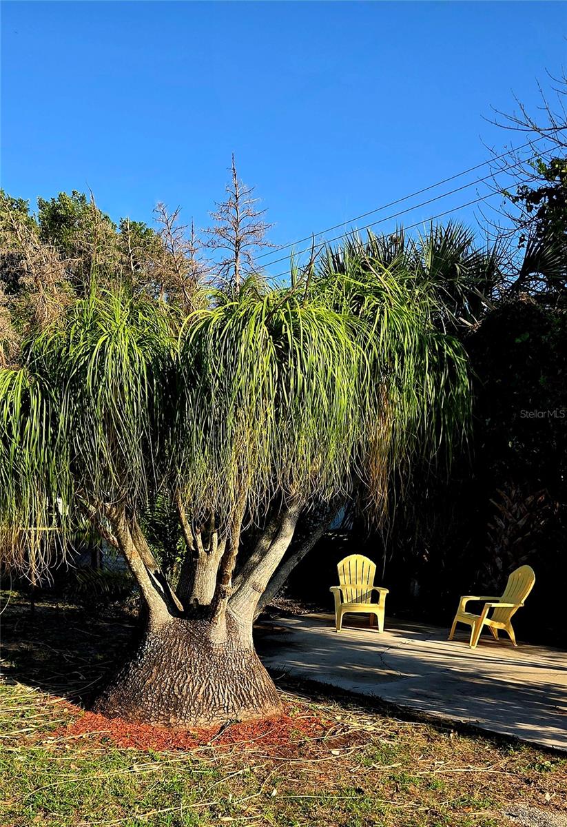 PORT CHARLOTTE SEC 025 - Residential