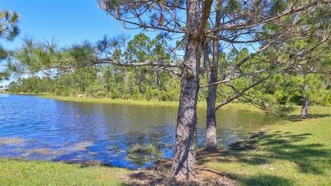 A home in ORMOND BEACH