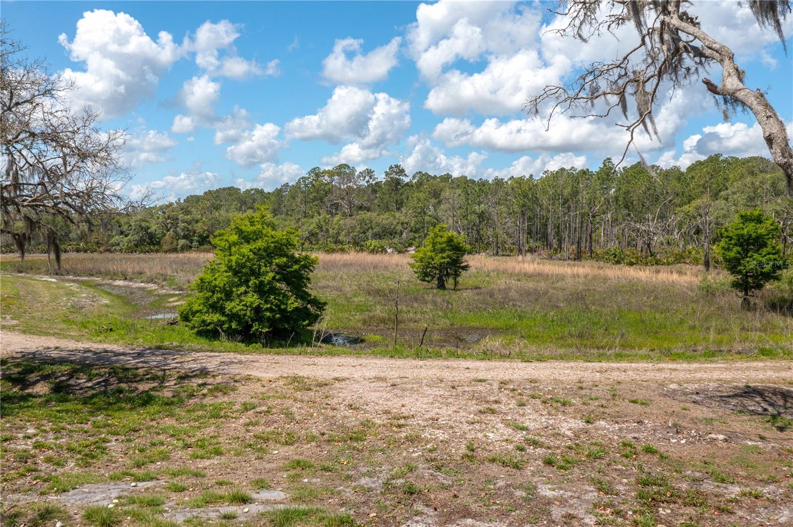 BLUE JORDAN FOREST - Residential