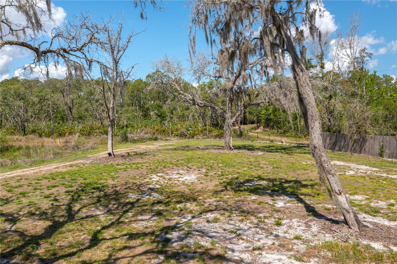 BLUE JORDAN FOREST - Residential