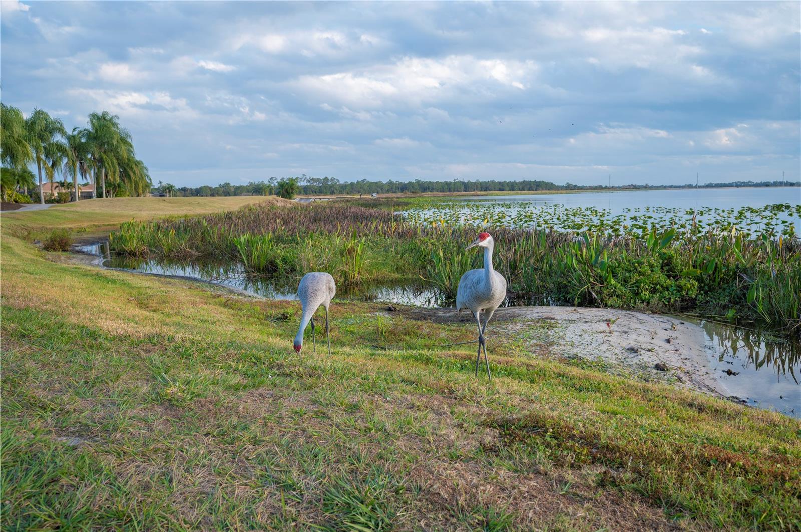 LAKE ASHTON GOLF CLUB PH 03B - Residential
