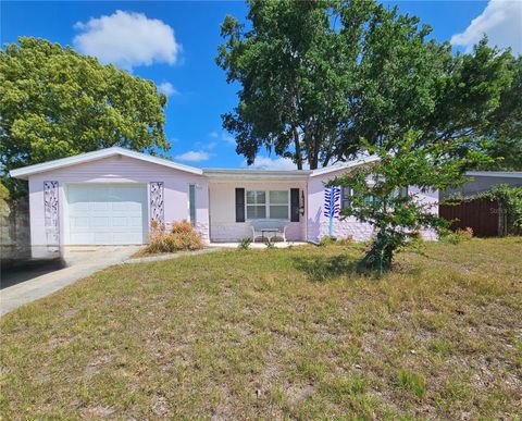 6339 DELAWARE AVENUE NEW PORT RICHEY FL 34653