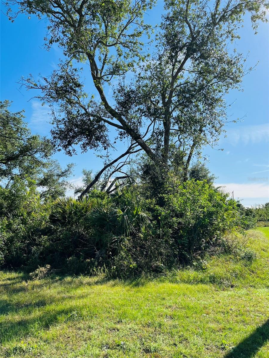 PORT CHARLOTTE SUB 16 - Land