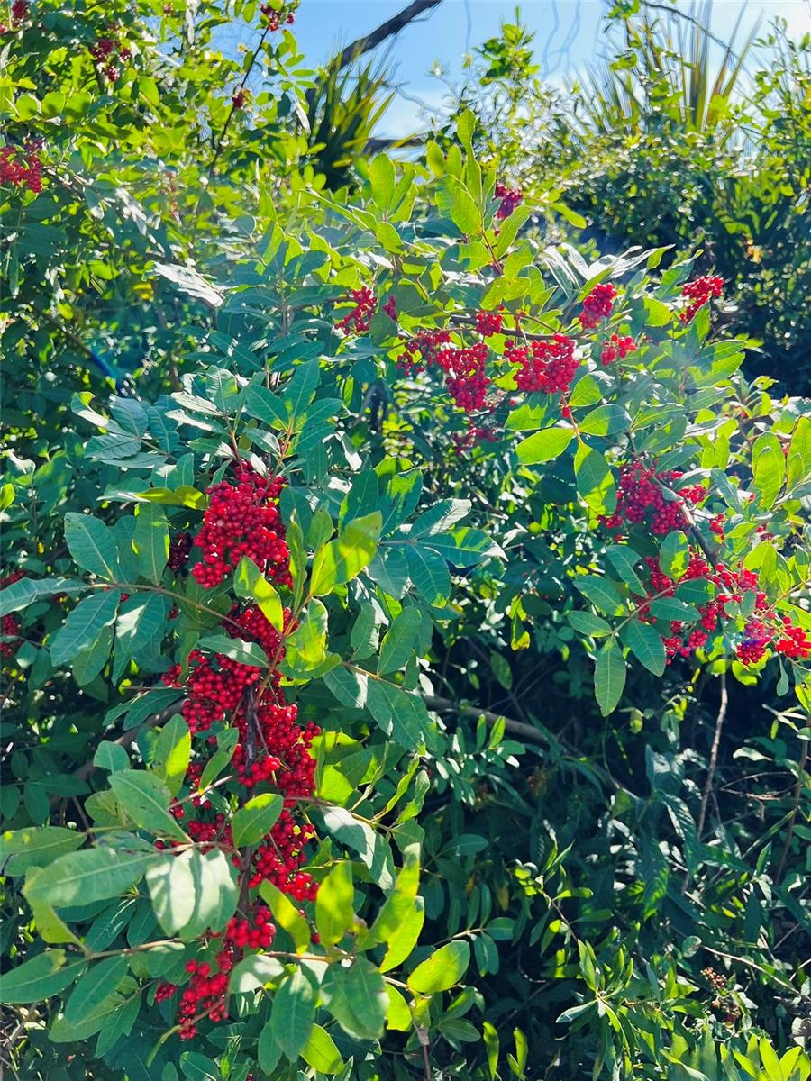 PORT CHARLOTTE SUB 16 - Land