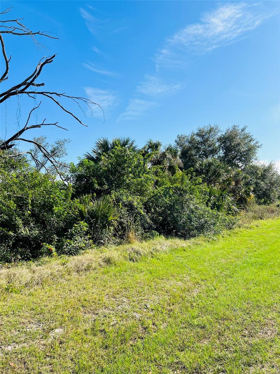 PORT CHARLOTTE SUB 16 - Land