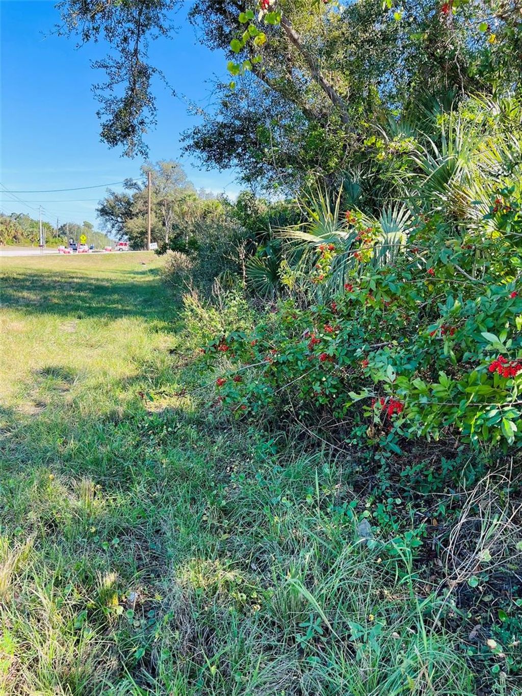 Photo of E Price Boulevard, North Port, FL 34288 (MLS # TB8324590)